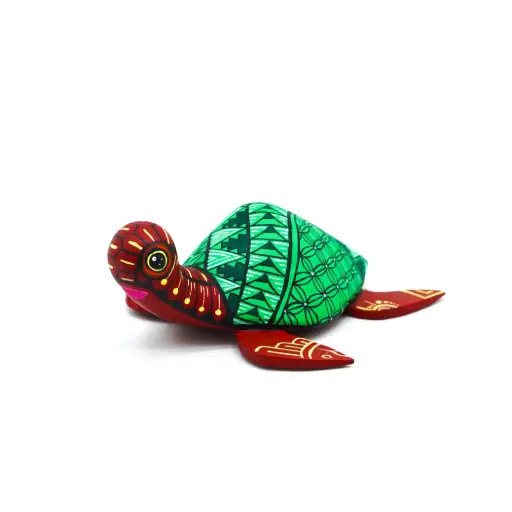Alebrije Tortuga Concha